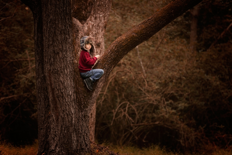 Raleigh child photography - photograph of a child in a tree